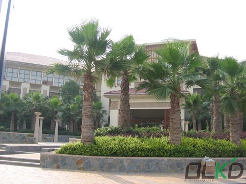 長沙會館